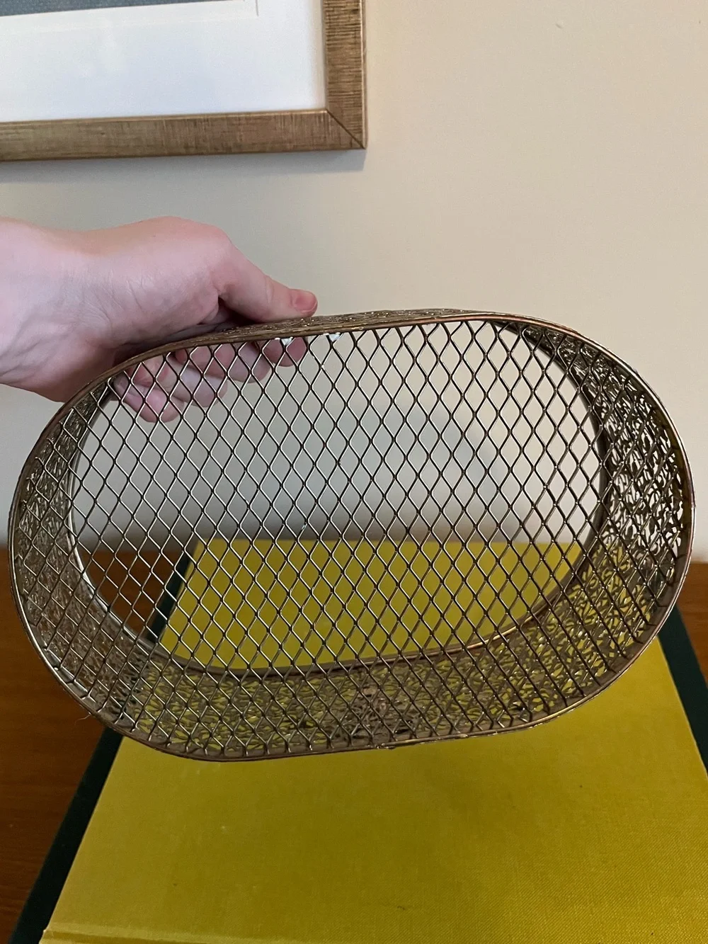 Brass Wire Basket